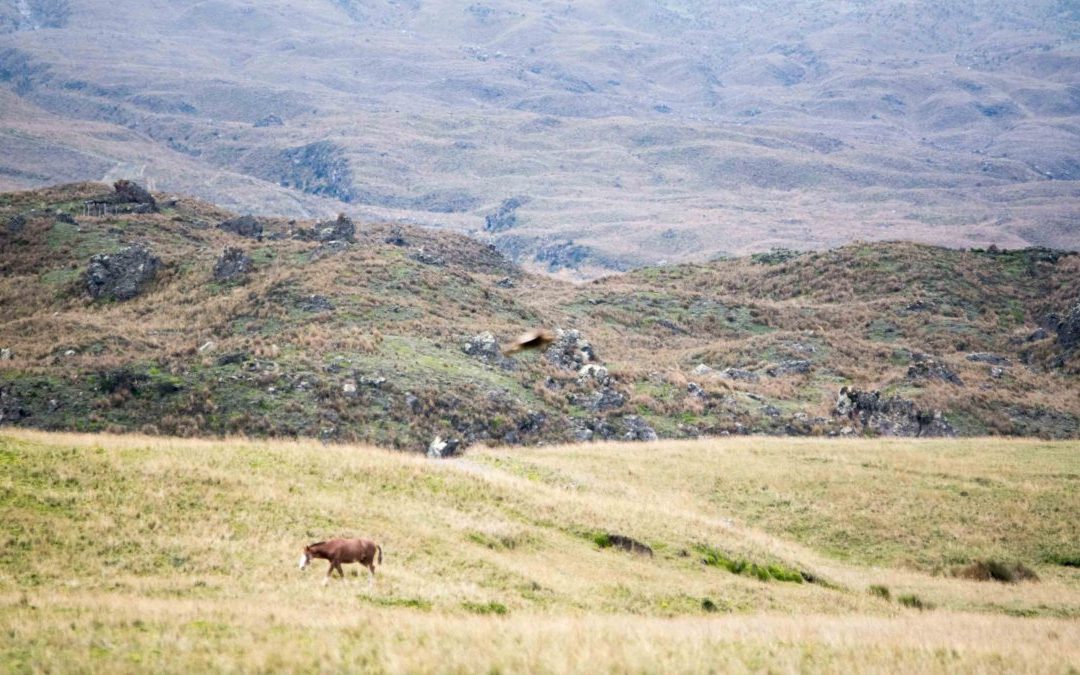 What To Expect On The Road To Laguna Mica