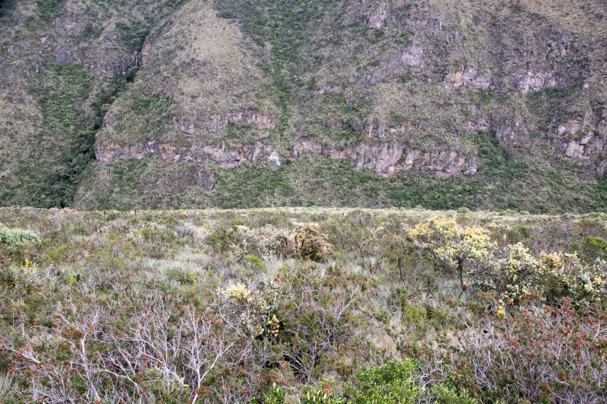 Cliffs near the Antisanilla Reserve Viewing Point; Reserva Antisanilla, Secas, Ecuador | ©Angela Drake