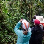 Useful Bird Guides For Your Trip To Ecuador