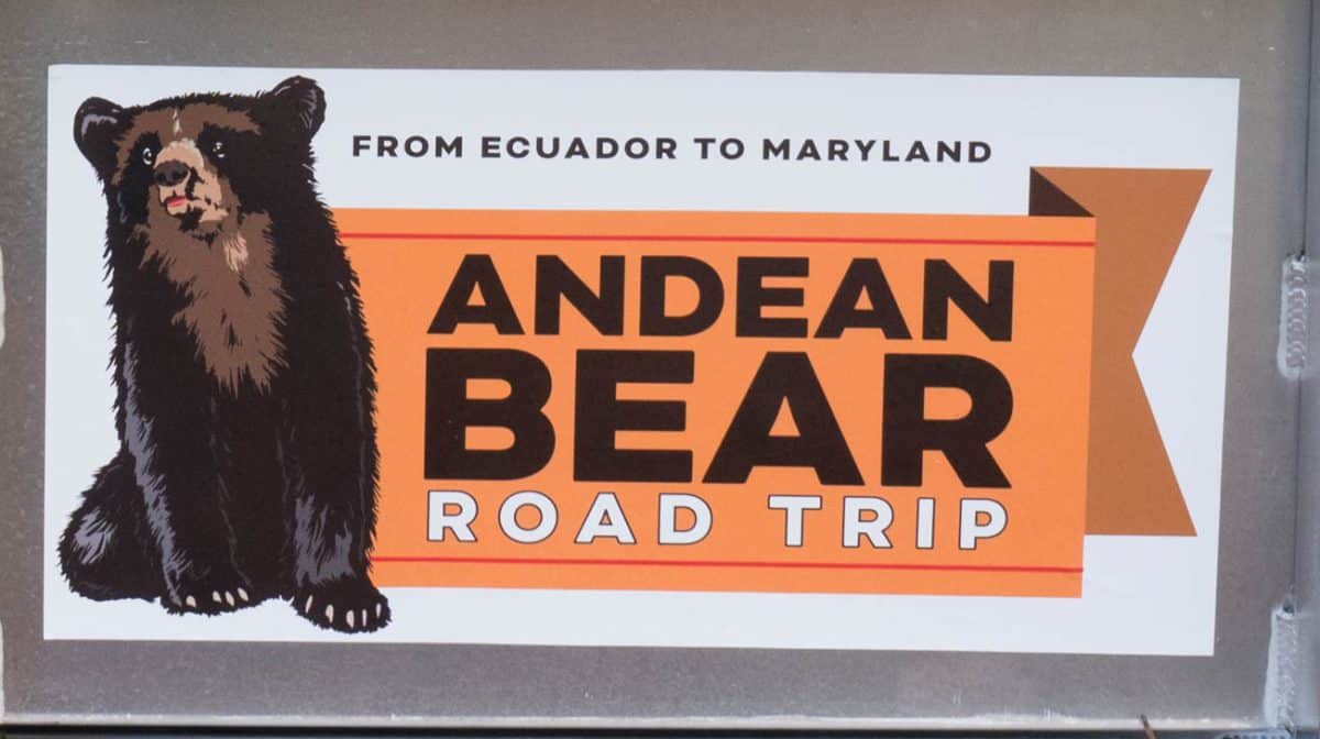 From Ecuador to Maryland, Andean Bear Road Trip | © E. Scott Drake