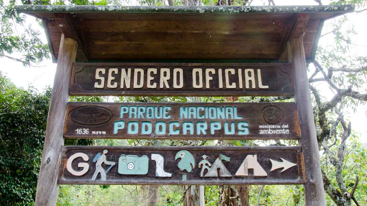 Cascada El Palto Trailhead, Podocarpus National Park, Vilcambamba, Ecuador | ©Angela Drake