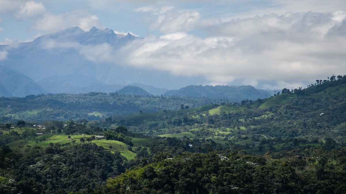 The Pichincha Volcano seen from the Sol y Montaña experimental coffee farm in Gualea, Ecuador | ©Angela Drake