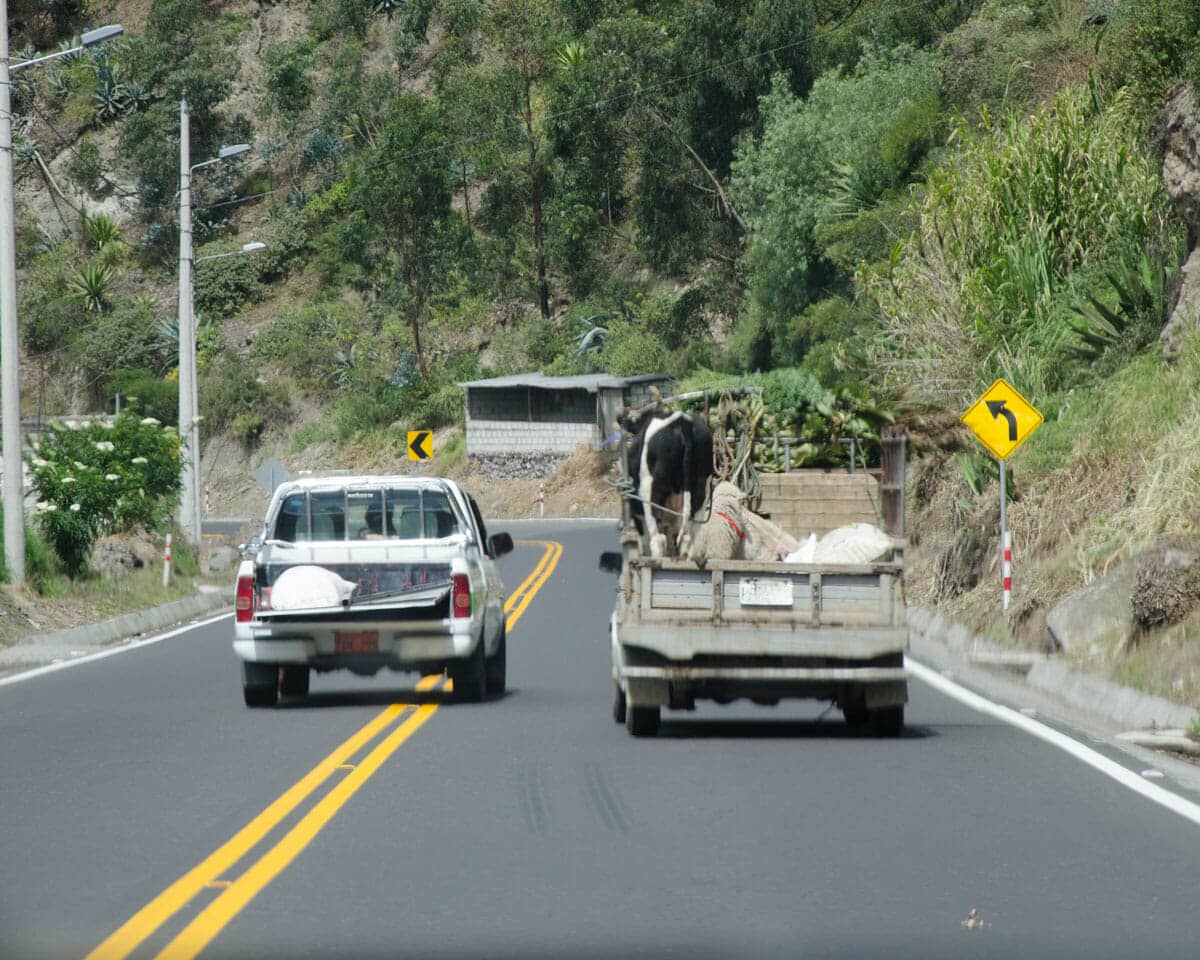 Driving in Ecuador includes watching many people try to pass before a curve | ©Angela Drake
