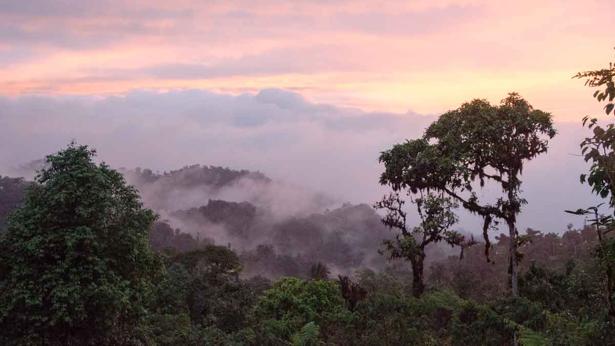 Puesta de sol cerca del Refugio de Paz, parte de la Reserva de la Biosfera Chocó Andino, Ecuador | ©Ángela Drake