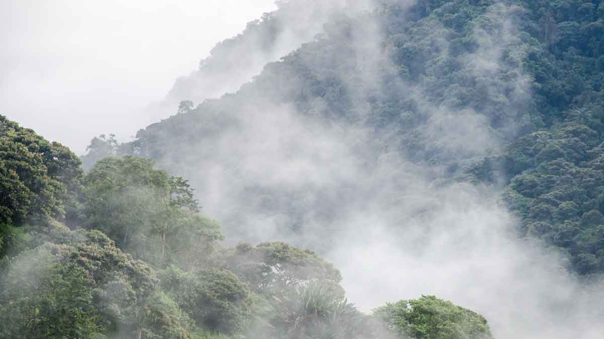 High altitude cloud forests of the Choco Andino Biosphere Reserve, Ecuador | ©Angela Drake