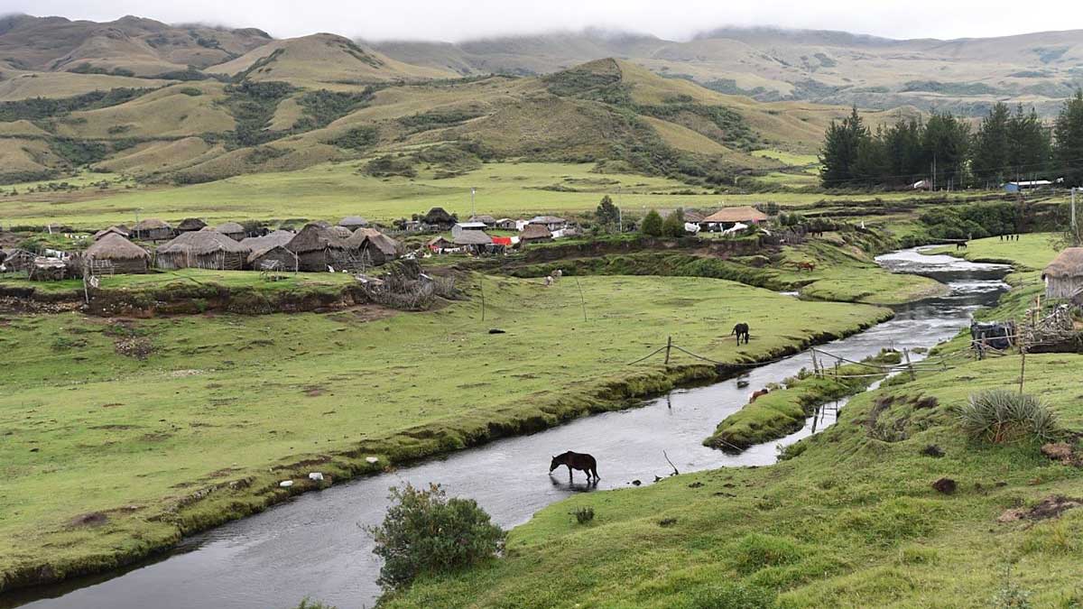 Piñan, Ecuador | photo credit: David Sasaki