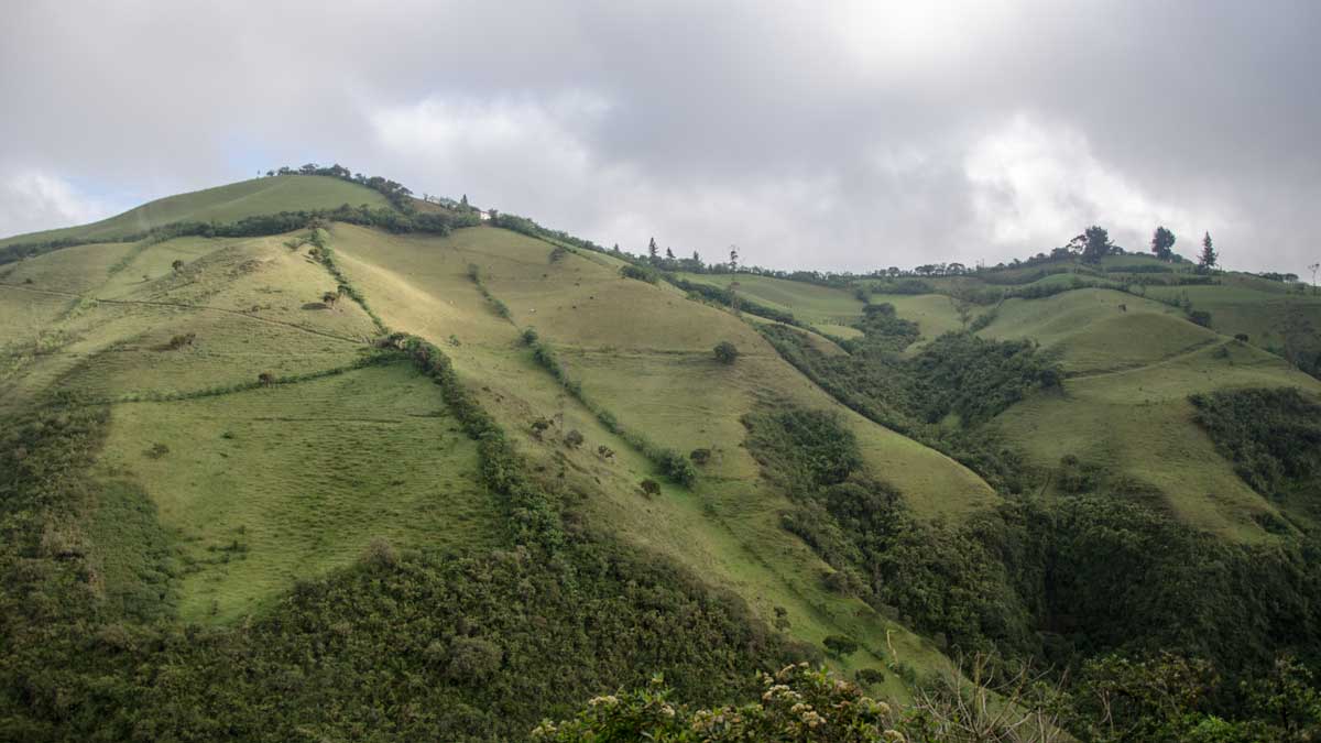 A lo largo de la Ruta del Colibrí en Nono, Ecuador| ©Ángela Drake