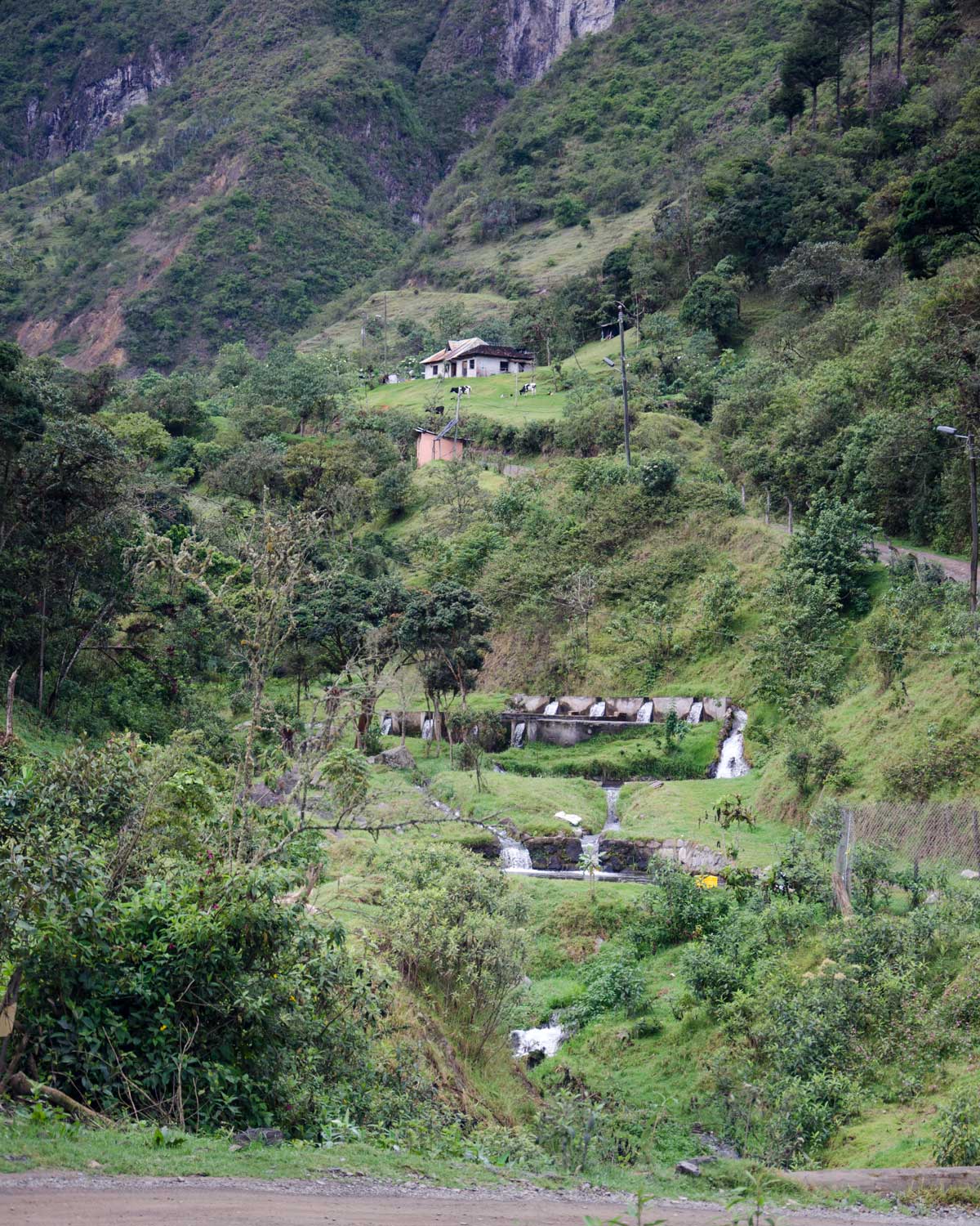Una granja de truchas a lo largo de la Ruta del Colobrí, Ecuador | ©Ángela Drake