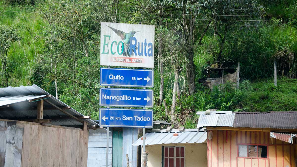 Signs for the Ruta del Colibrí in Tandayapa, Ecuador| ©Angela Drake