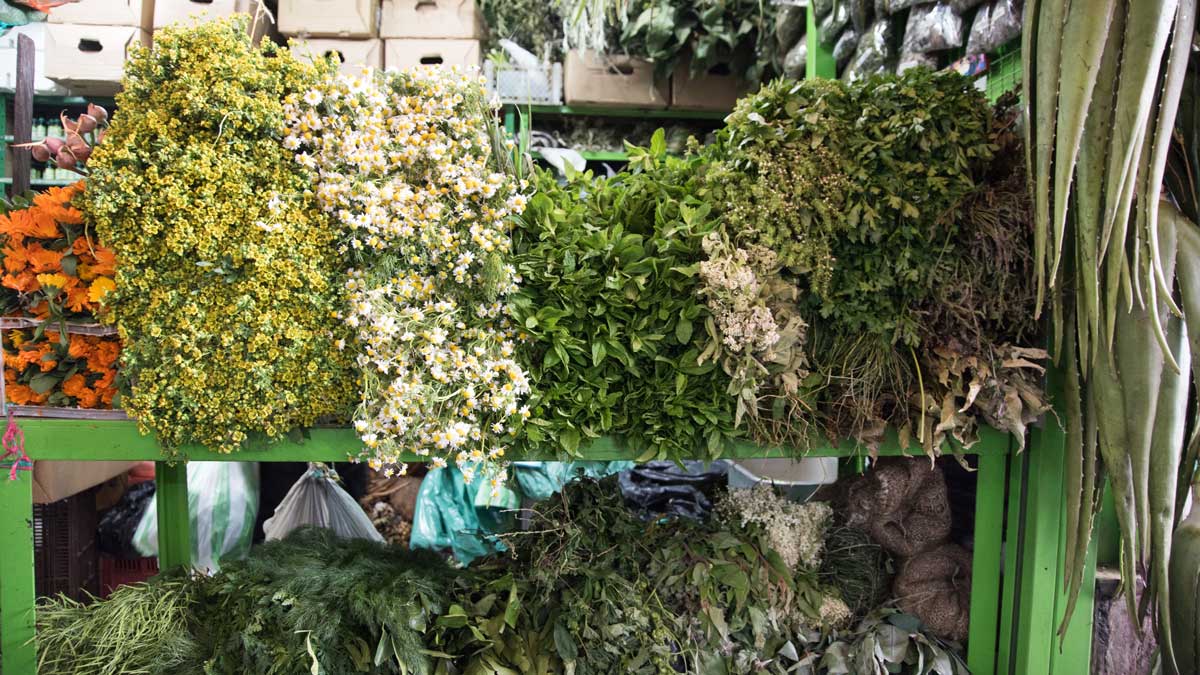 Fresh Herbs from the Plaza Mercado de Paloquemao | ©Angela Drake