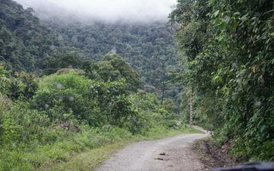 What to Expect Along Ecuador’s Hummingbird Route