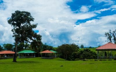 Our First Look At Ancient Stone Statues in Isnos, Colombia