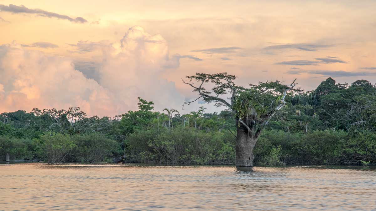 Laguna Grande, Cuyabeno, Ecuador | ©Ángela Drake