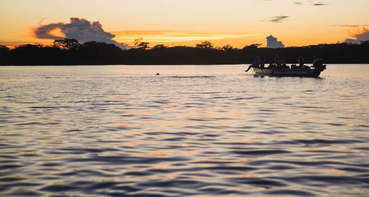 Finding Hope in “Esto también es Ecuador”
