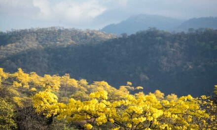 We Signed the Glasgow Declaration for Climate Action in Tourism