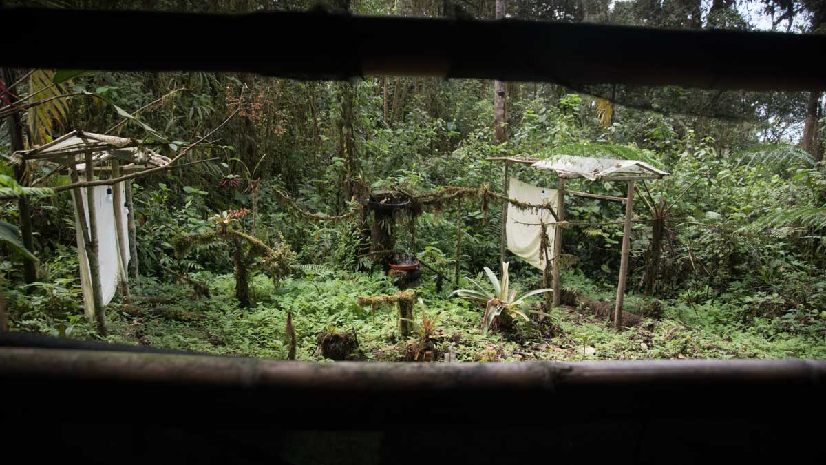 Birdwatching Blind, Birdwatcher's House, Santa Rosa de Mindo, Ecuador | ©Angela Drake