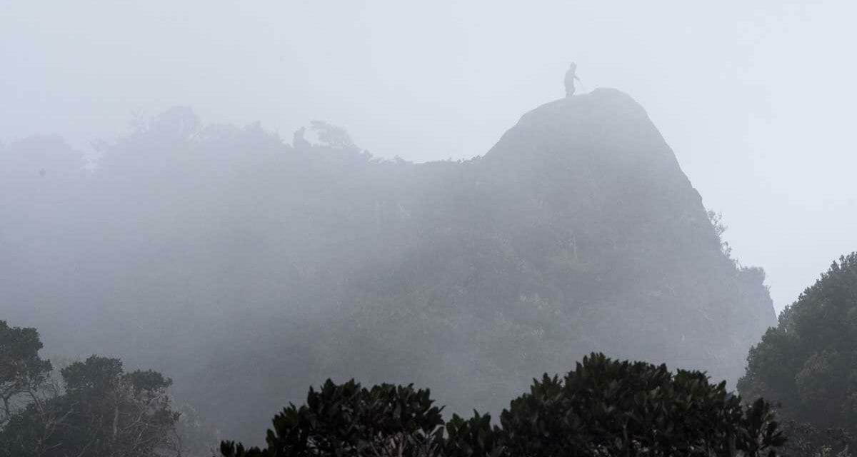 Where to See Andean Condors in Southern Colombia