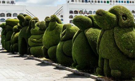 The Spectacular Topiaries of Tulcan