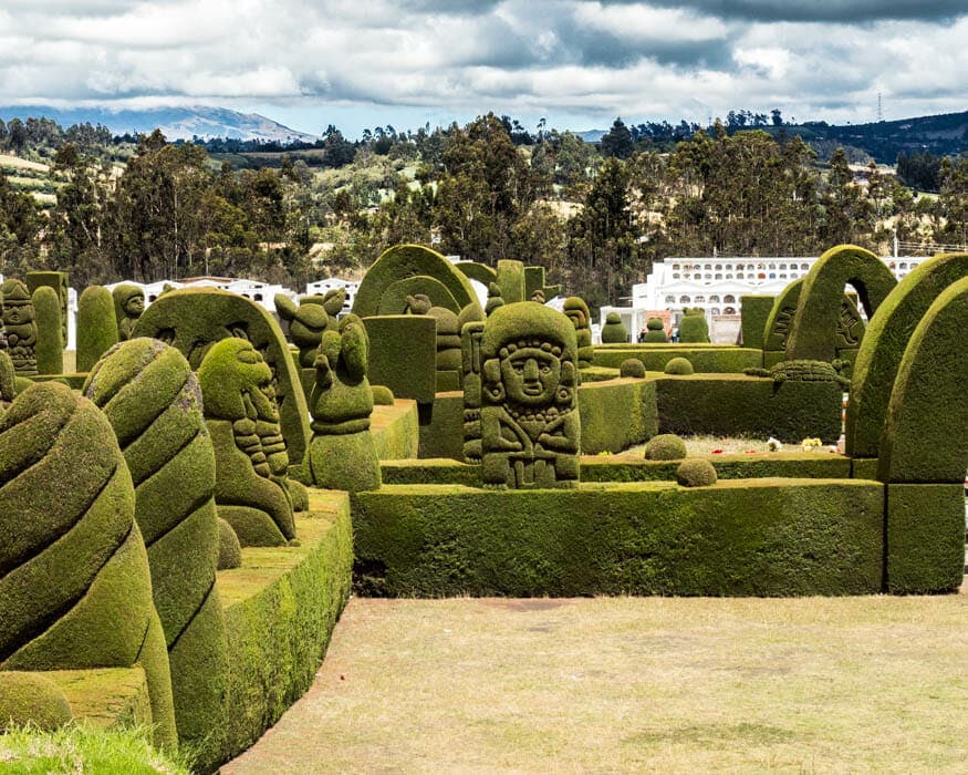 New Growth in the Memorial Park, Tulcan Cemetery, Ecuador | © Ernest Scott Drake