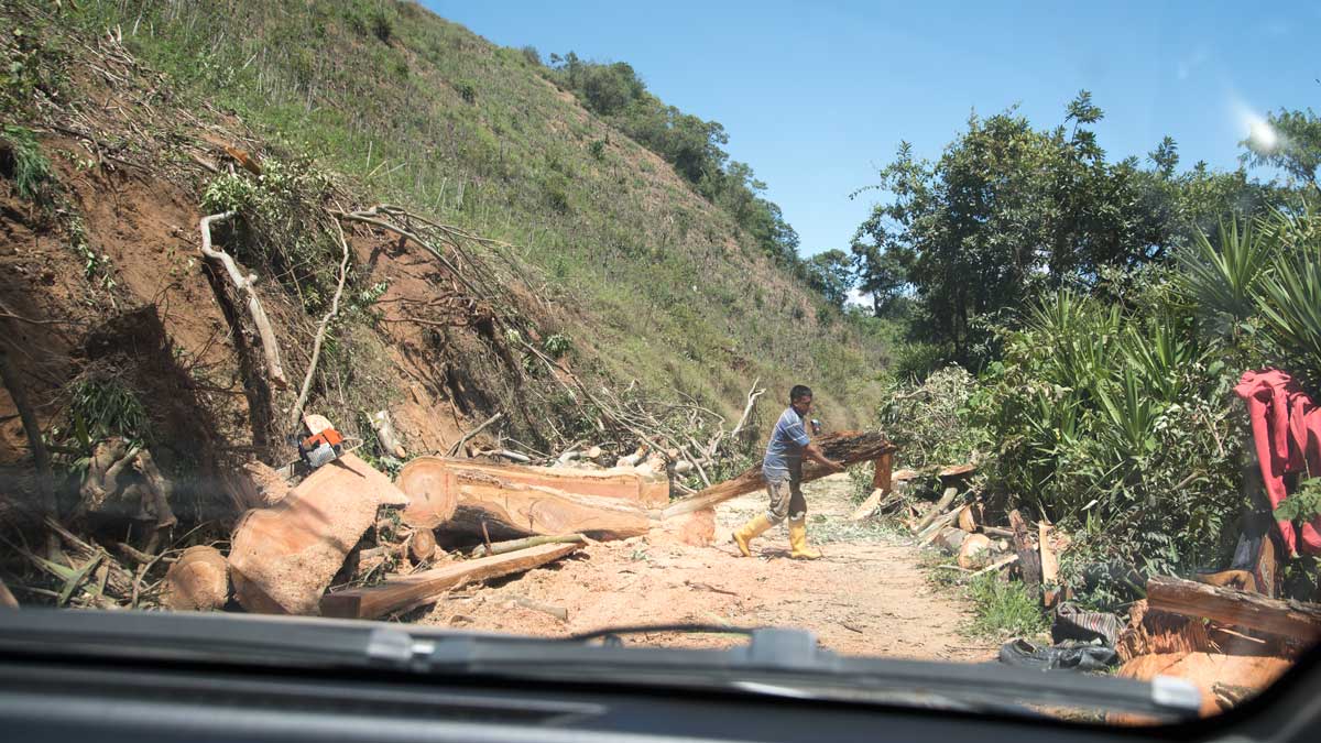 A veces, la única manera de avanzar significa destrozarlo todo y empezar de nuevo. ©Angela Drake