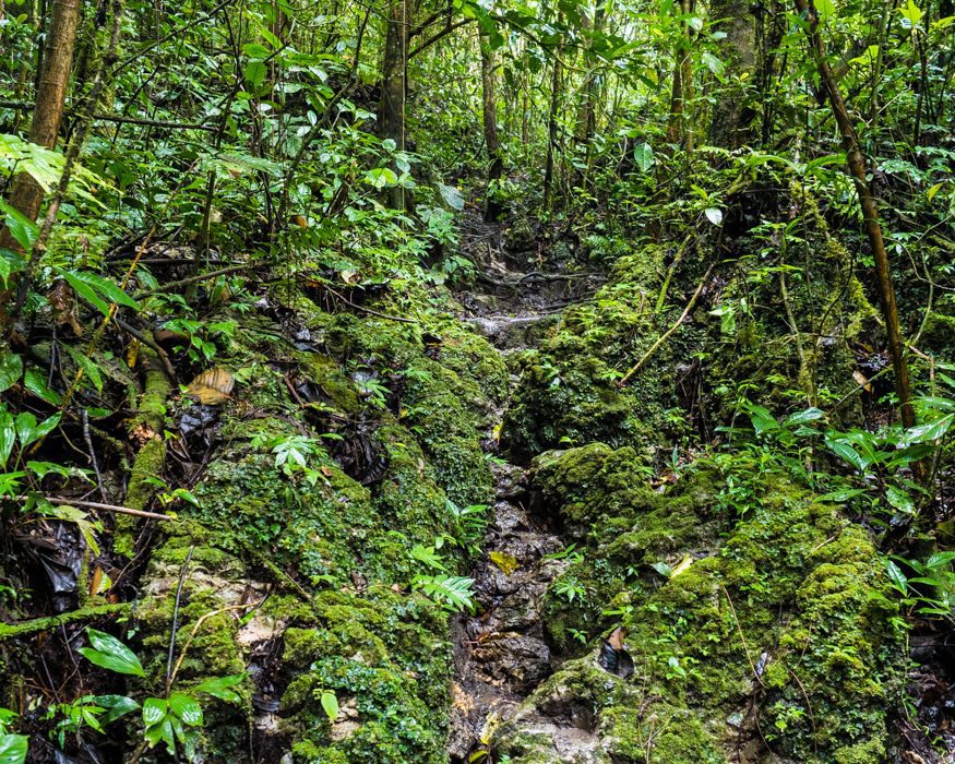 A very challenging, rocky trail thru the forest, Labyrinth of a Thousand Illusions, Ecuador| ©Ernest Scott Drake