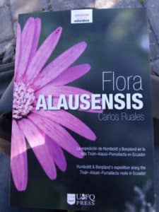 Flora Alausensis
