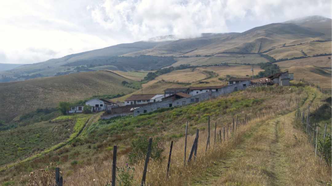 View of Hacienda Santa Teresita From The High Road | ©Angela Drake