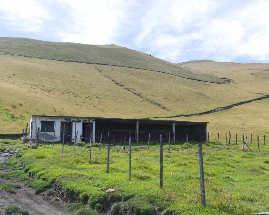 Cerro Puntas Road Above Hacienda Santa Teresita | ©Ángela Drake