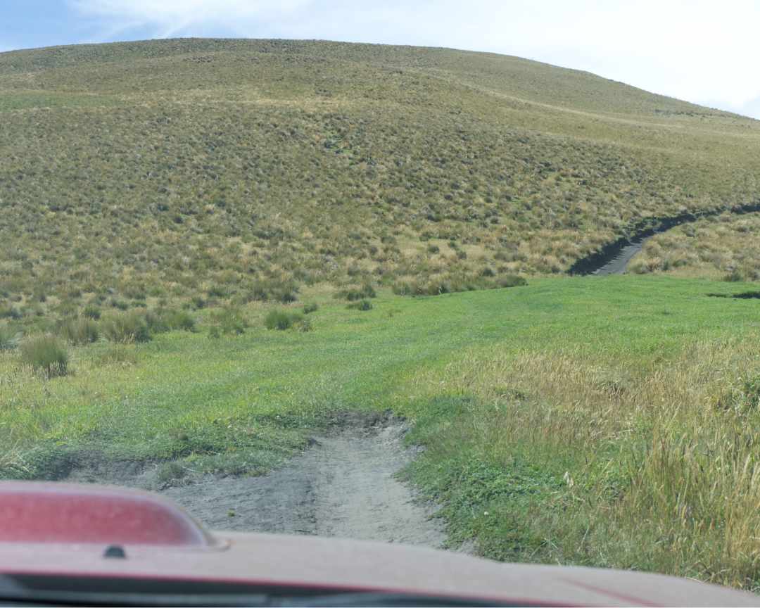 Cerro Puntas Road Cuts Through High Paramo | ©Angela Drake