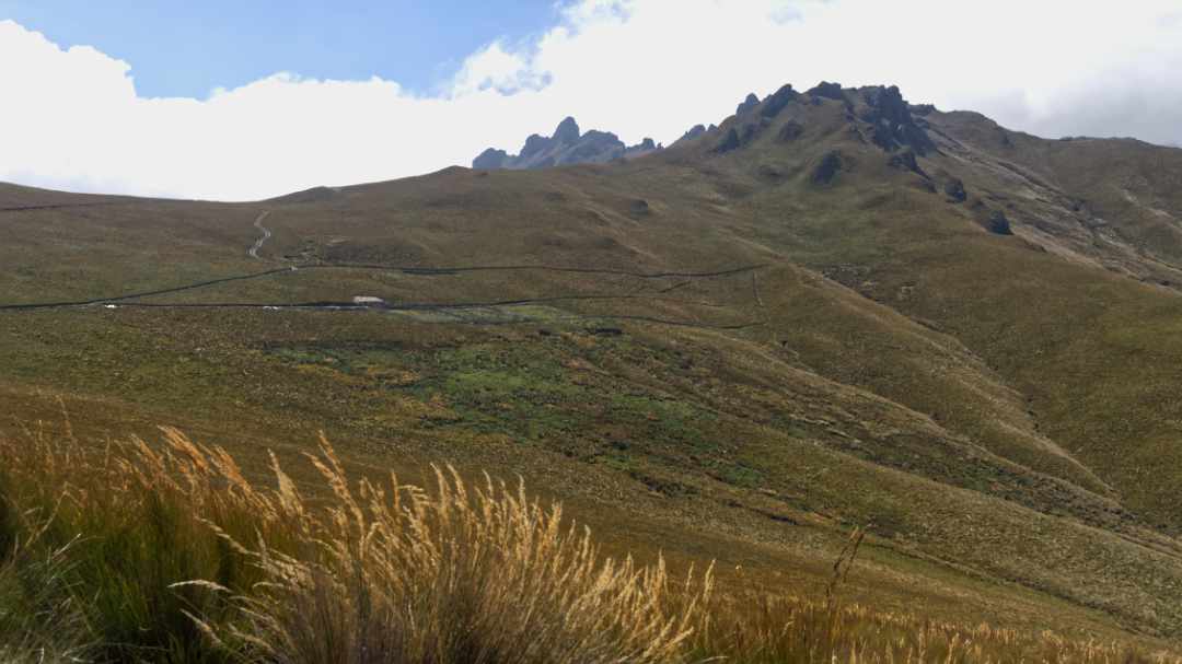 Casi al Cerro Puntas Trailhead | ©Ángela Drake
