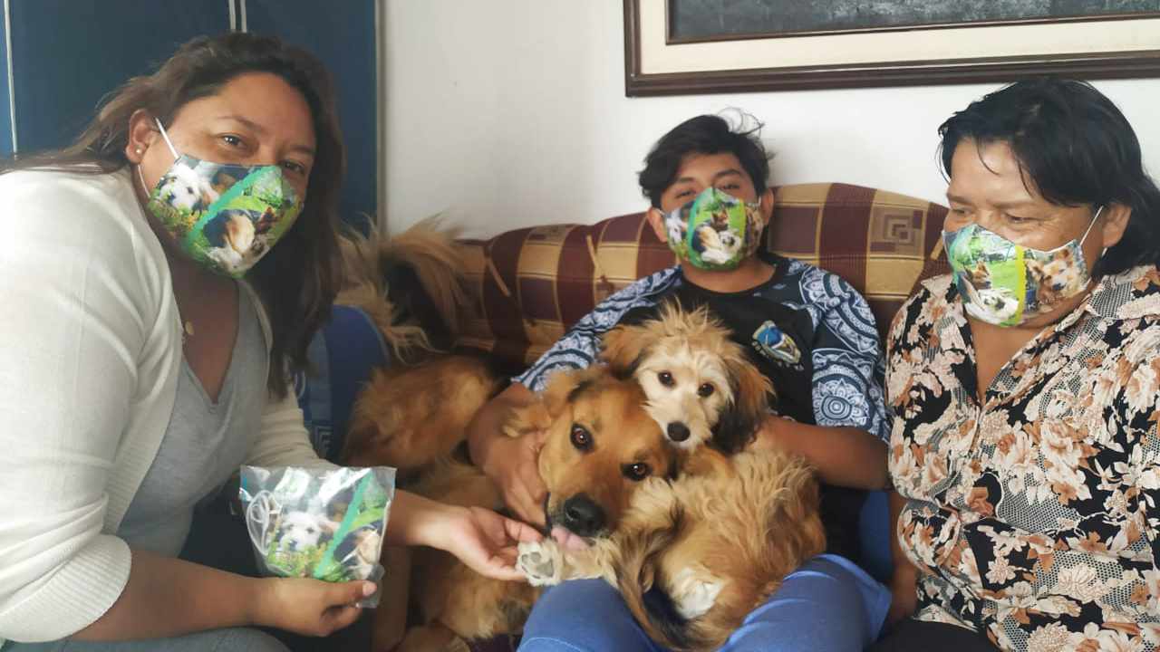 Los peluditos de la familia en una mascarilla