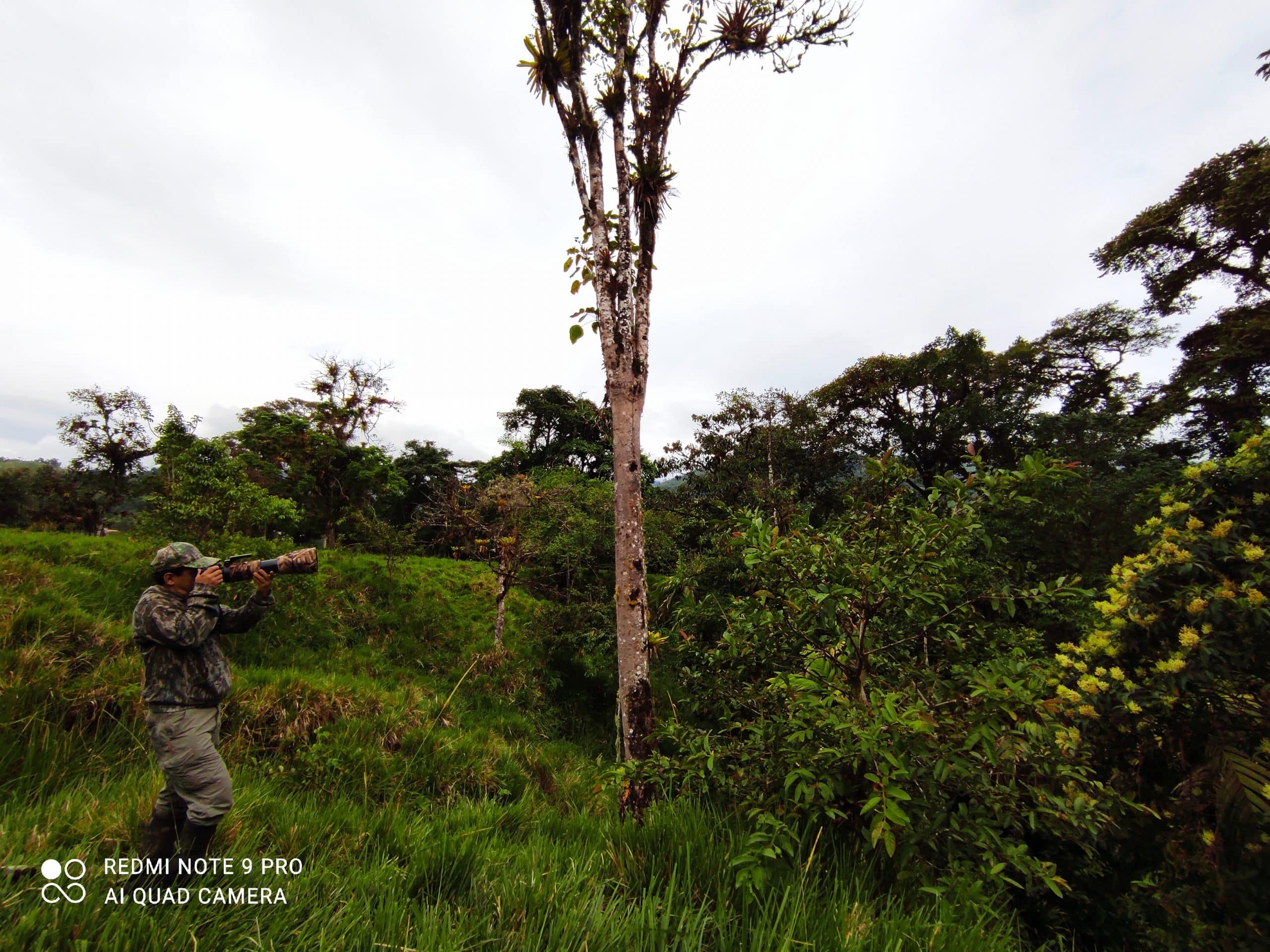 Linares-Sumado Road Ring Route Count| ©Jacqueline Granda