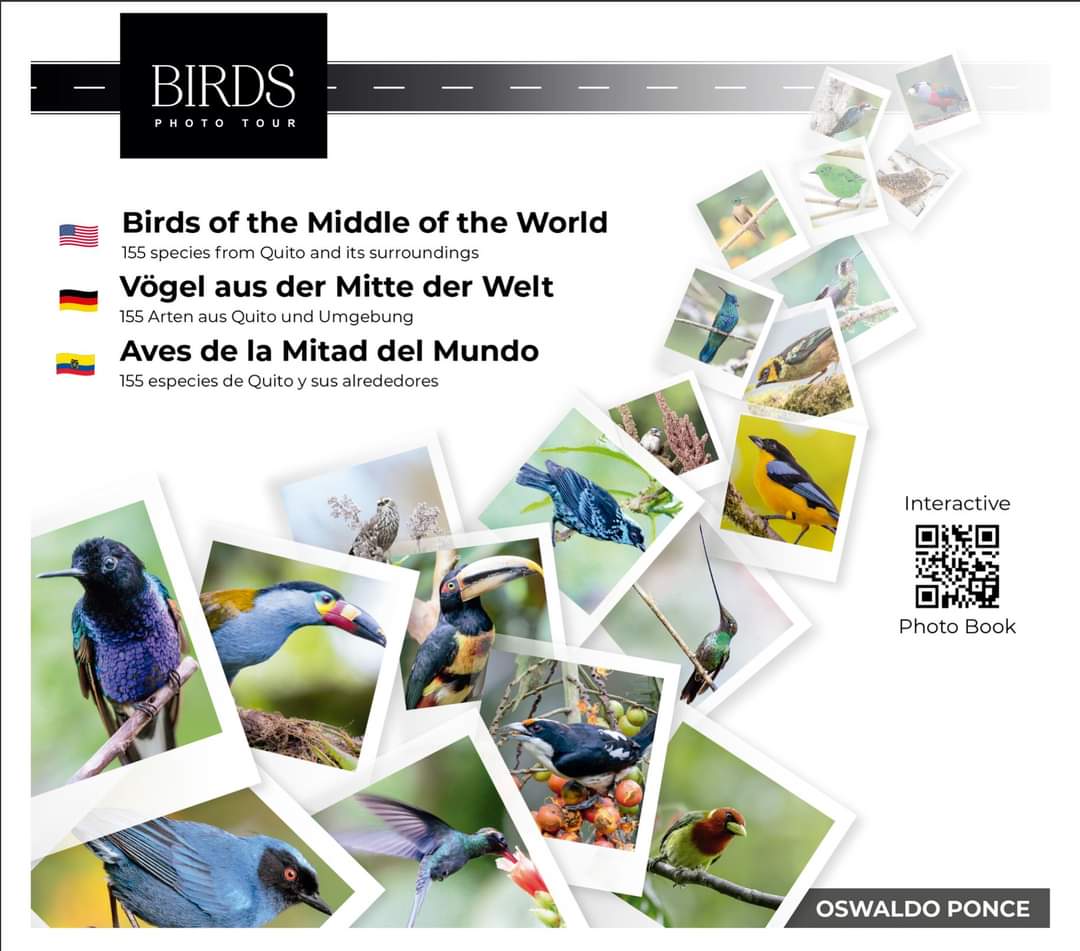 Aves de la Mitad del Mundo| ©Oswaldo Ponce