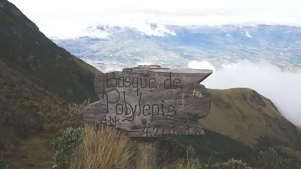 Señal de Bosque Polylepis; en la distancia, Cotocachi,  Atuntaqui, y Otavalo | ©Edison Benitez