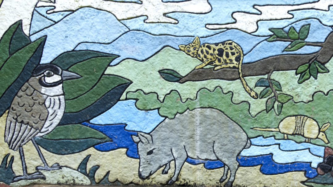 Mural pintado de Antpitta, tapir, ocelote y armadillo