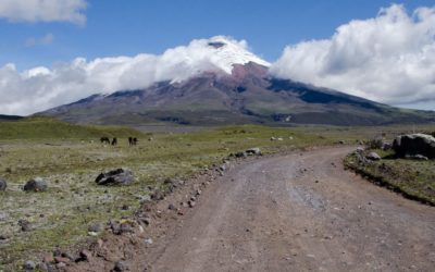 Tour Cotopaxi Like A Local