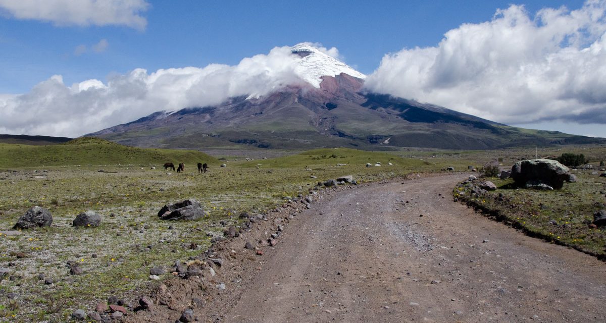 Tour Cotopaxi Like A Local