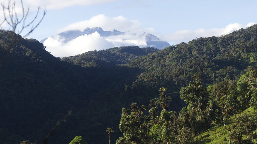 Pico de alta montaña con nubes invasoras aparece sobre las estribaciones cubiertas de bosque nuboso