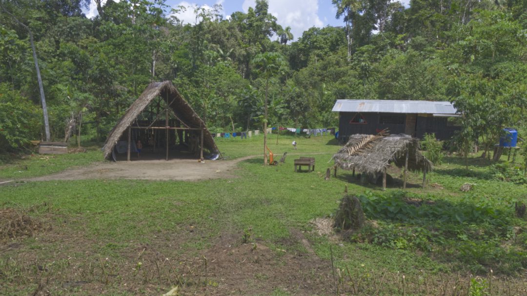 Dos pequeñas cabañas y un edificio del tamaño de un remolque con techo de hojalata se encuentran en un campo abierto rodeado de bosque