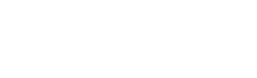 Logotipo blanco de Natural International