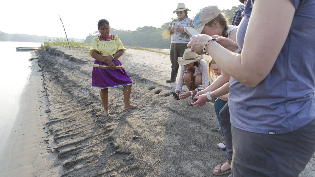 Una mujer Cofán observa la suelta de tortugas