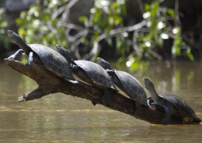 Into the Amazon With Cuyabeno’s Indigenous Communities