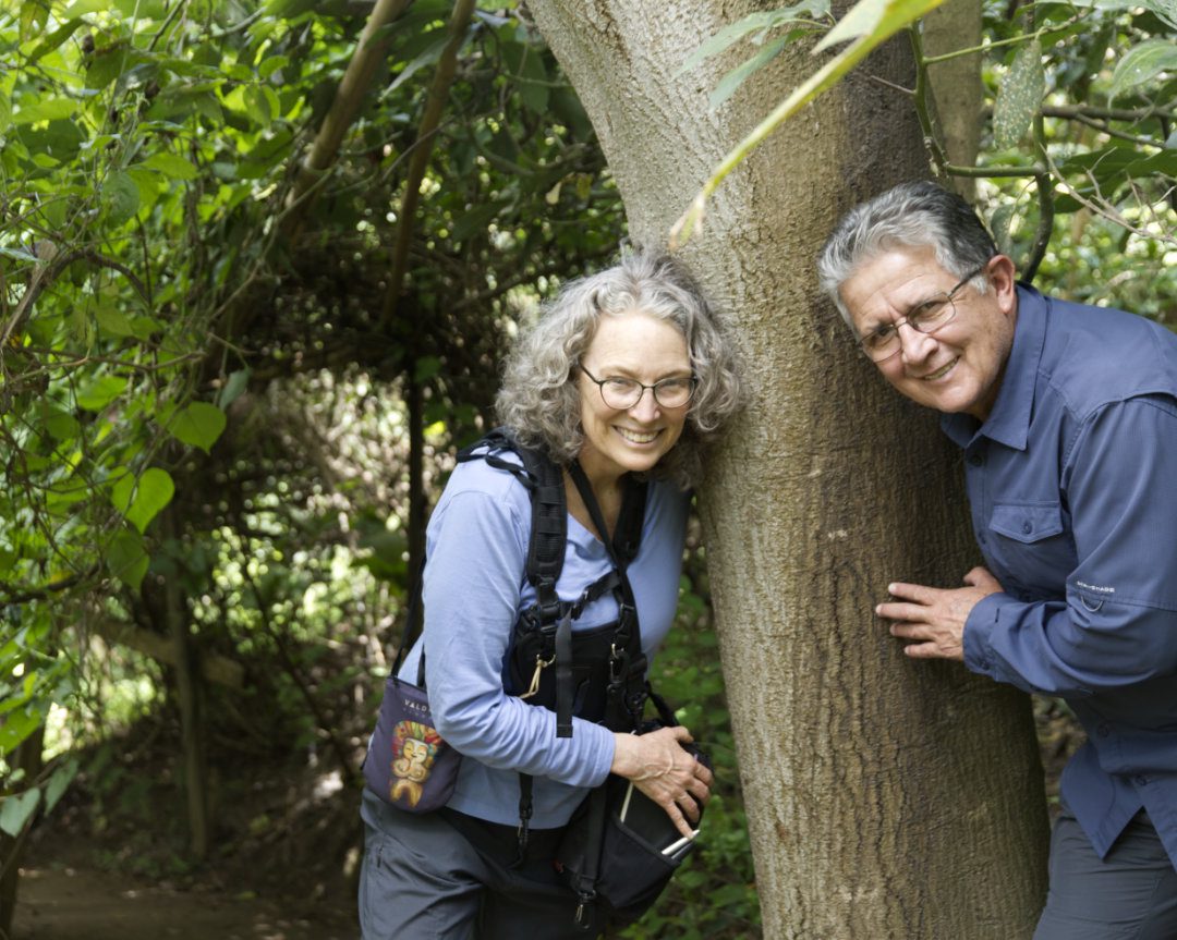 Una mujer y un hombre se sitúan a ambos lados del tronco de un viejo árbol de aguacate llamado Guerrero