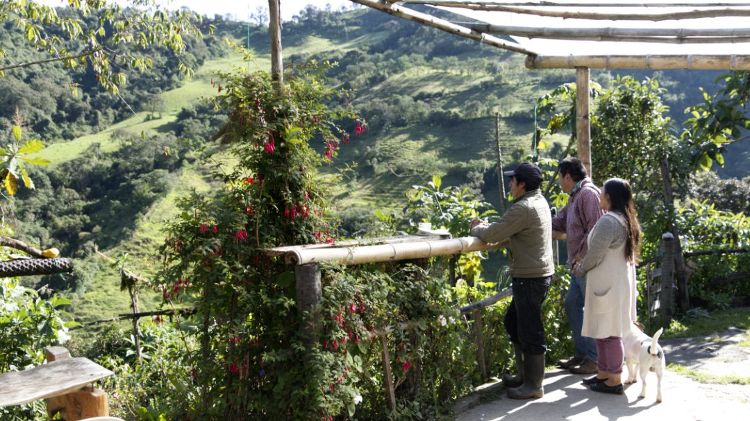 Vinicio, Anita y Alejandro disfrutan de los pájaros y de las preciosas vistas desde el jardín de su reserva.