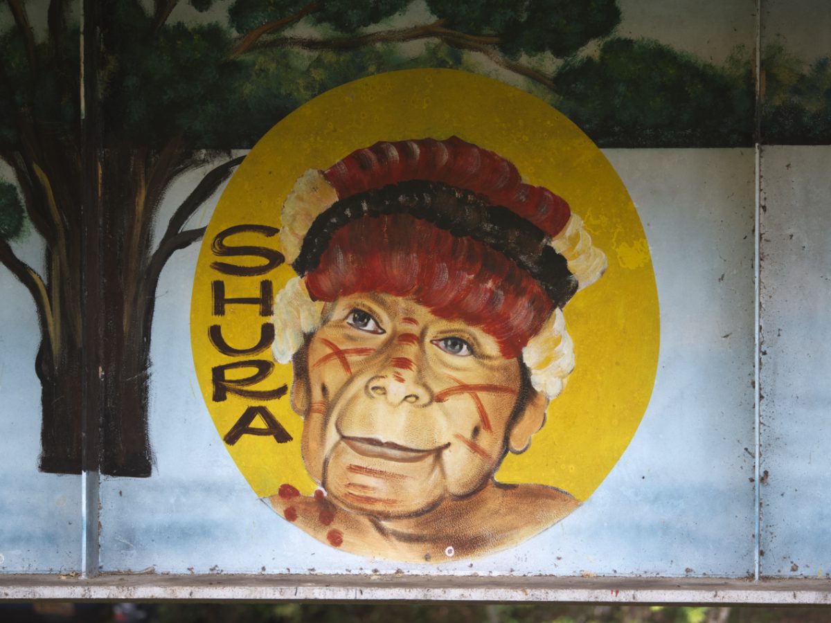 A painting of a Shuar as appears in a mural on the official entrance point to the Cuyabeno Reserve. The artist is Juan Paz.