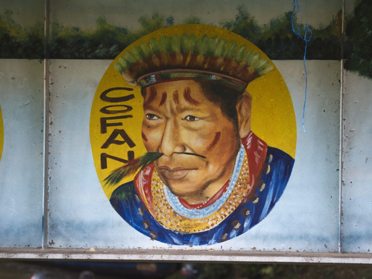A painting of a Cofán as appears in a mural on the official entrance point to the Cuyabeno Reserve. The artist is Juan Paz.