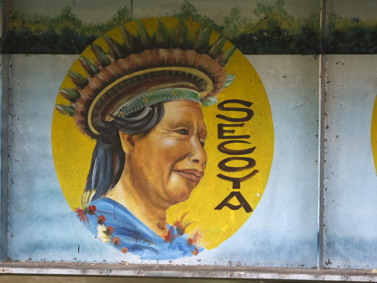 A painting of a Secoya as appears in a mural on the official entrance point to the Cuyabeno Reserve. The artist is Juan Paz.