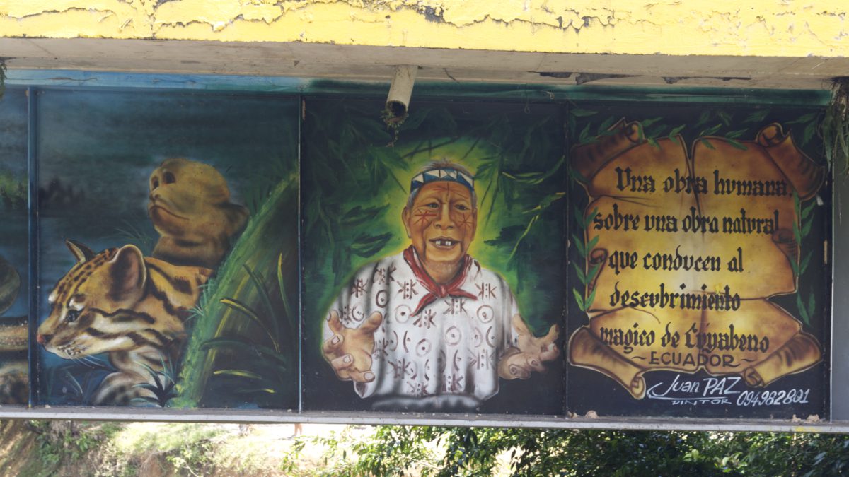 A portion of a mural at the official entrance point to the Cuyabeno Reserve. The artist is Juan Paz.
