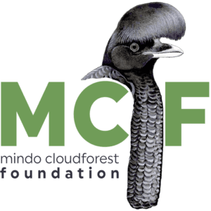 Mindo Cloudforest Foundation Logo