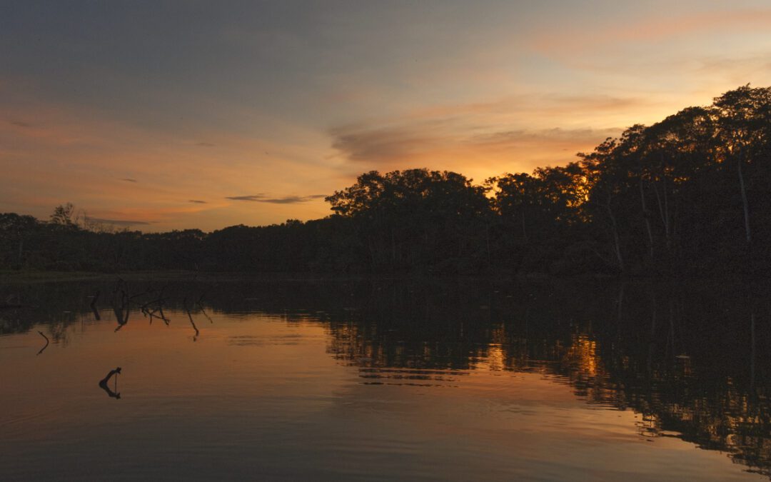 Plan Your Trip To Ecuador’s Limoncocha Biological Reserve